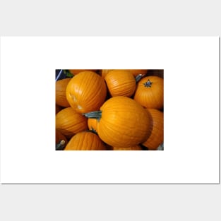 Pumpkins Posters and Art